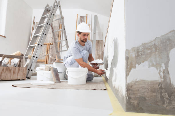 Trusted Thomaston, GA Mold Removal Experts