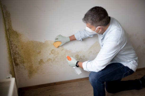 Best Crawl Space Mold Remediation  in Thomaston, GA