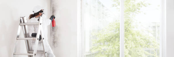 Best Air Quality Testing for Mold Spores  in Thomaston, GA